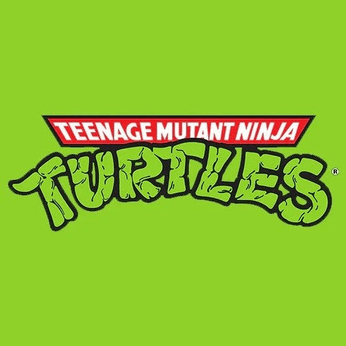 Teenage Mutant Ninja Turtles - ToyShnip
