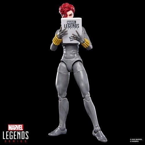 Black Widow Marvel Legends Series Black Widow 6 - Inch Action Figure - by Hasbro