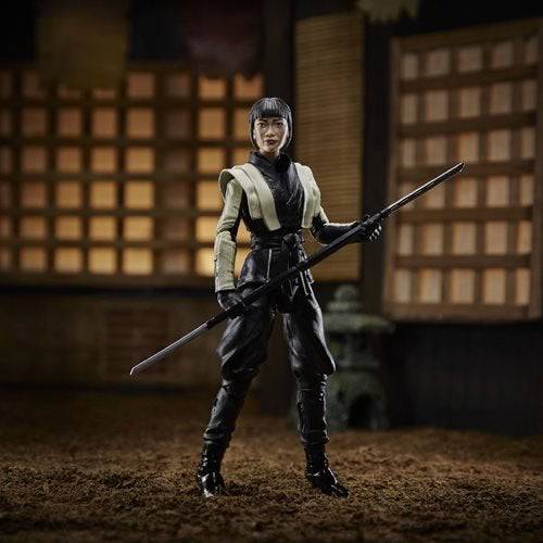 G.I. Joe Classified Series 6-Inch Snake Eyes: G.I. Joe Origins Action Figure - by Hasbro | Buy at ToyShnip