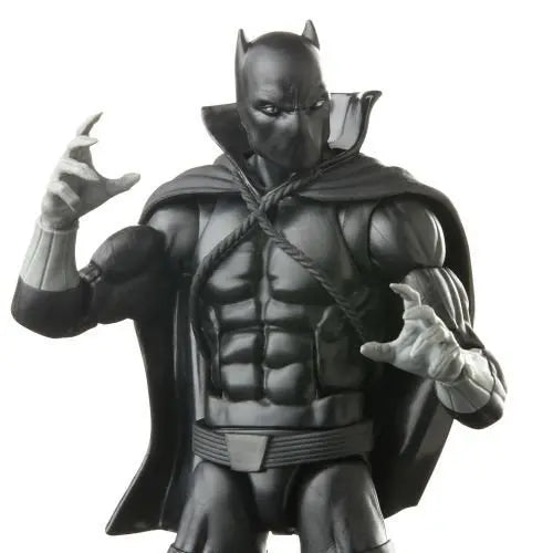 Marvel Legends Wakanda Forever Black Panther 6-Inch Action Figure - by Hasbro | Buy at ToyShnip