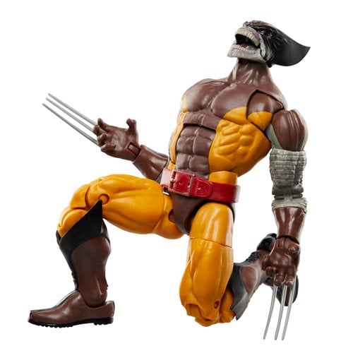 Marvel Legends Wolverine 50th Anniversary 6-Inch Action Figure 2-Pack - Select Figures - by Hasbro | Buy at ToyShnip