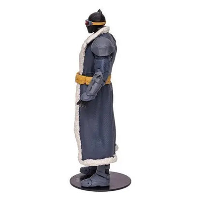 McFarlane Toys DC Build-A Wave 7 Endless Winter 7-Inch Scale Action Figure - by McFarlane Toys | Buy at ToyShnip