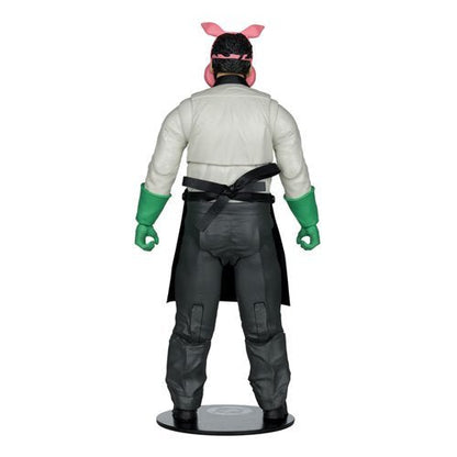 McFarlane Toys DC Collector Edition 7 - Inch Scale Action Figure - Select Figure(s) - by McFarlane Toys