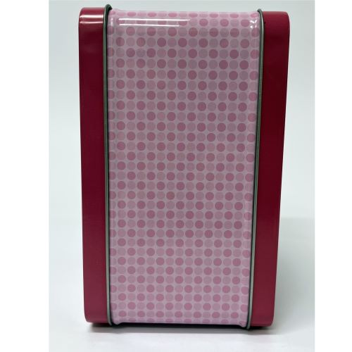 Sailor Moon and Tuxedo Mask Tin Titans Lunchbox with Thermos - Previews Exclusive - by Surreal Entertainment | Buy at ToyShnip