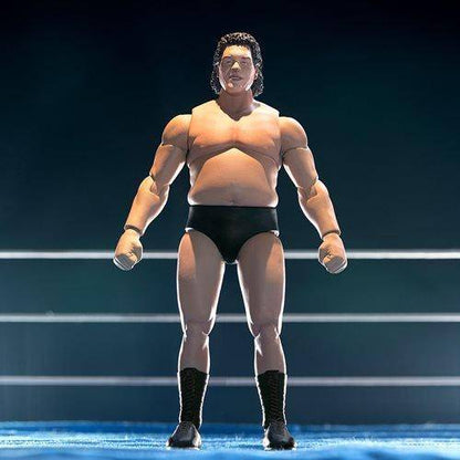 Super7 Andre the Giant IWA World Series 1971 Wrestling Ultimates 8" Action Figure - by Super7 | Buy at ToyShnip