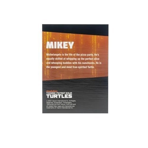 Teenage Mutant Ninja Turtles BST AXN Turtles IDW Comic Black and White 5-Inch Action Figure 4-Pack - SDCC 2023 Exclusive - by The Loyal Subjects | Buy at ToyShnip