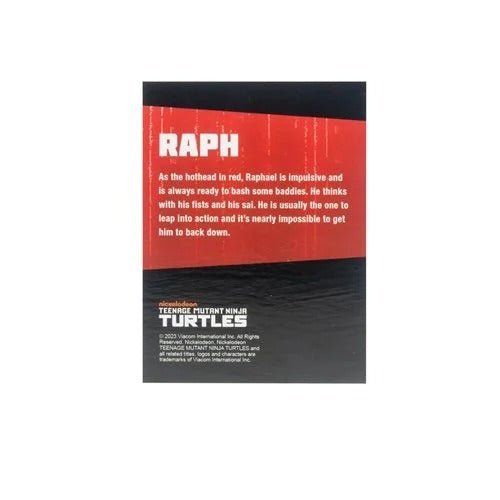 Teenage Mutant Ninja Turtles BST AXN Turtles IDW Comic Black and White 5-Inch Action Figure 4-Pack - SDCC 2023 Exclusive - by The Loyal Subjects | Buy at ToyShnip