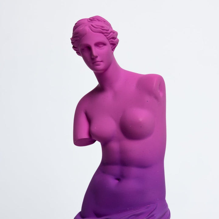 Venus de Milo Resin Statue - Today is Art Day - ToyShnip
